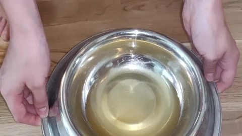 reallifedoll – pissing in dogbowl for you to enjoy