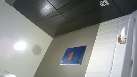 Asian Woman Exposing Buttocks in Bathroom