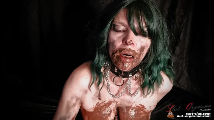 SlutOrgasma – Human Ashtray Extreme Shit Smearing and Swallowing