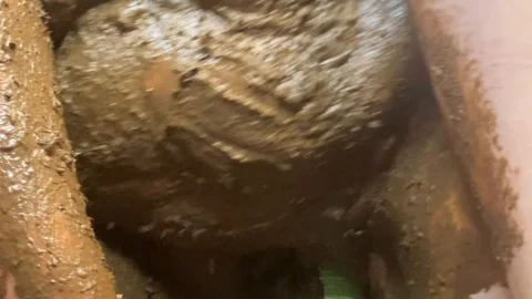 Allura – Poop Covered Fucking a Big Bottle