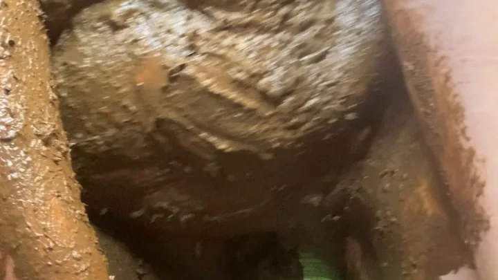 Allura – Poop Covered Fucking a Big Bottle