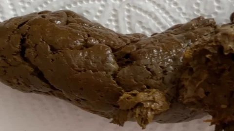 HolyCrap – Triple Shitty Pleasure and My Dirty Ass