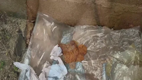 Pinky Prada – A Nice – Quick But Huge – Soft Shit Outside In Nigeria