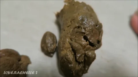 LoveRachelle2 – Poops Galore