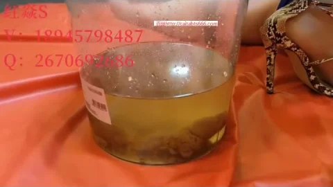 Asian Mistress Hong Yan 25 WC: Femdom, Facebowl, Foot Worship