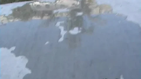 MissPiss – Puddles of Pee