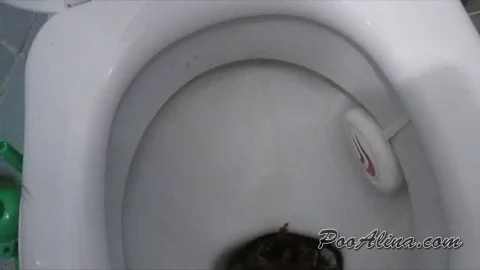 suppkakiem – Young Alina Big Shitting on Toilet Morning 12