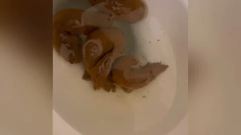 Trophy Turds