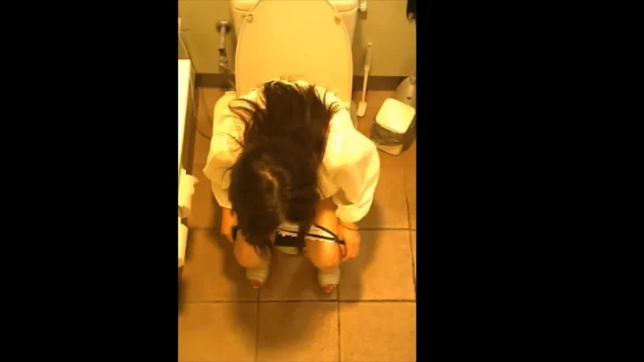 Asian brunette in bathroom squatting over toilet with garter belt