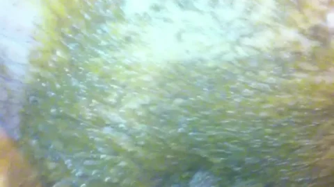 Pumped Pussy – Dirty Anal