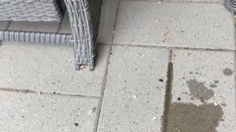 Brunette in forest and on dock naked, wet, spreading in daylight