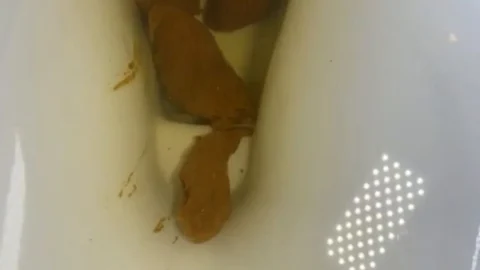Brownsensations – Dirty tampon and long turd