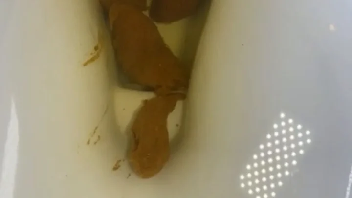 Brownsensations – Dirty tampon and long turd