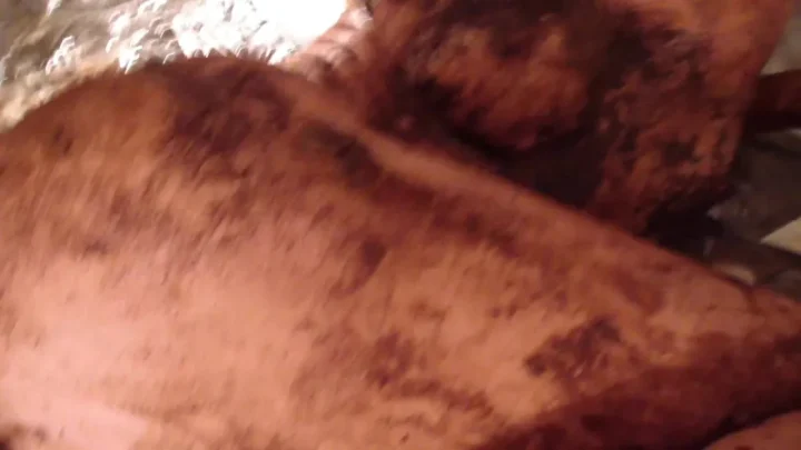 Brunette in mud bath spa treatment full body clay application