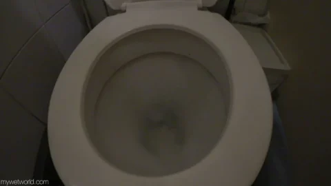 Golden Girls Faye – Voyeuristic Toilet Strip Wetting