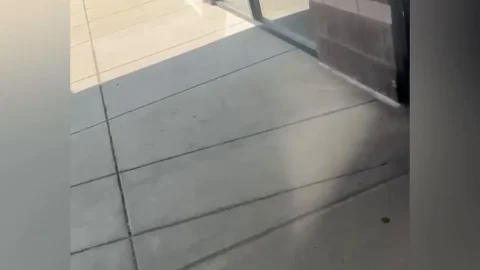 Brownsensations – Public Shits: Black Brunette Curvy Girl Defecates