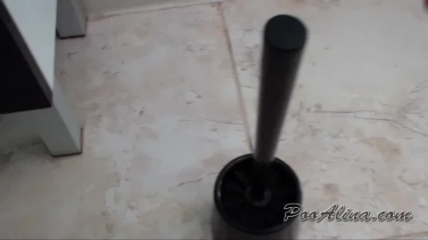 PooAlina – Toilet Slave Eats Alina’s Morning Diarrhea