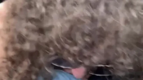 VibeWithMolly – Piss outside of truck on highway
