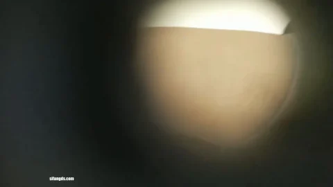 Long-Legged Beauty Peeping and Pooping