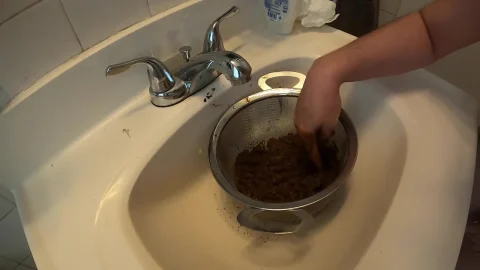 Treasure Hunt – Girl Rinses Brown Stuff in Colander