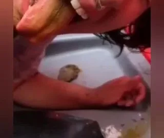 Brunette with lip ring gives blowjob in kitchen on POV