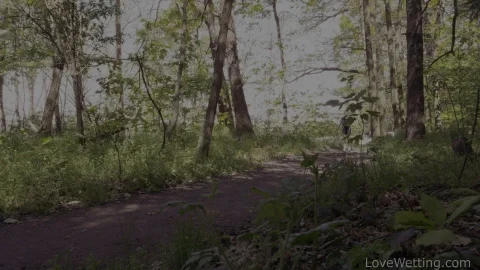 Nicole Sweet Adventure in the Forest | Outdoor Exploration Vlog