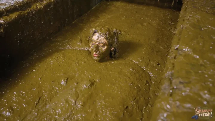 Kaitlyn Katsaros – Aliens In The Manure Channel