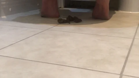 wastedwetness – Shitting and pissing on the floor solo