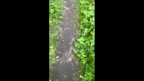 poogirla – poo and pee in dacha