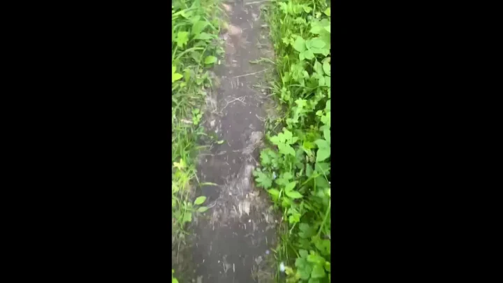 poogirla – poo and pee in dacha