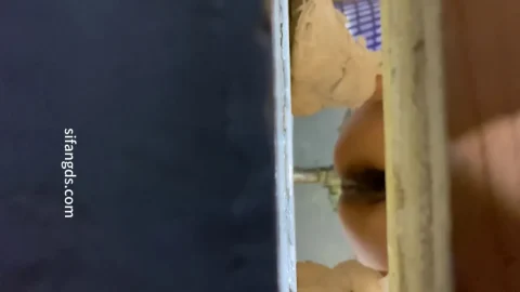 Female Classmates and Teachers Urinating