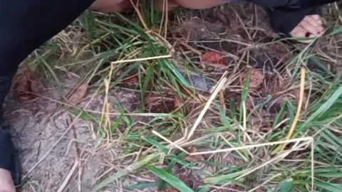 Slim Beauty Urinating Outdoors in the Grass | Nature Peeing