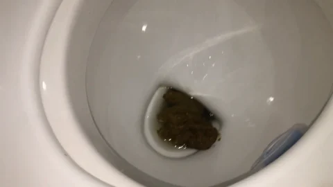 Markovna – Be careful there is a lot of shit in this video
