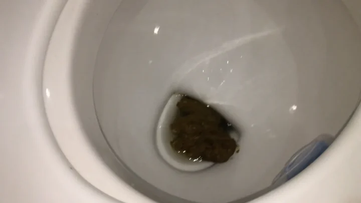 Markovna – Be careful there is a lot of shit in this video