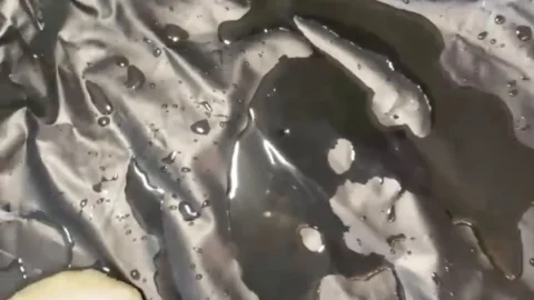 SamanthaStarfish – Birthday Cake Shit Smear 2019