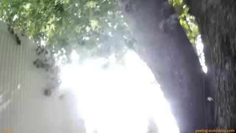 Beer Festival Summary 0047: Public Pissing Compilation