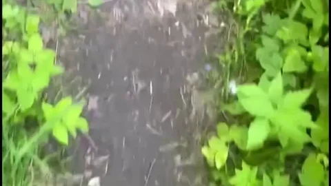 PooGirl – Week at the dacha piss and shit