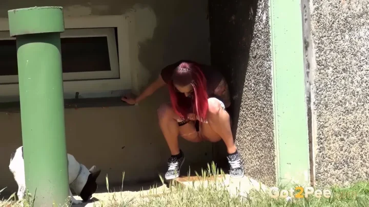 Redhead & brunette with bulldog licking pussy outdoors