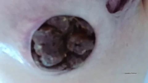 Goddess Panther – Constipated Dose In Your Mouth