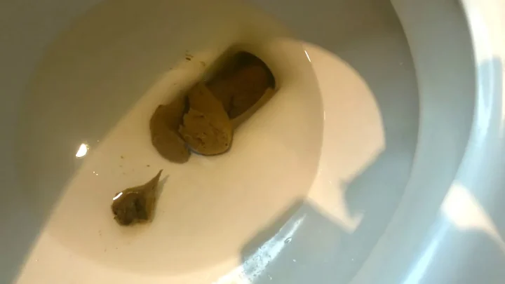 Treat Shipment – [Performer] Gassy Toilet Videos